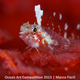 Illustration for article titled These Photos Show the Alien Beauty of Life Underwater